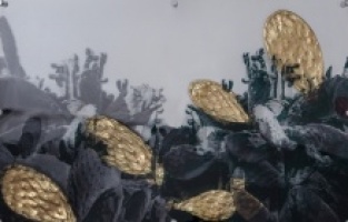 Lara Sayılgan’dan doğa fotoğrafçılığına farklı bir yaklaşım