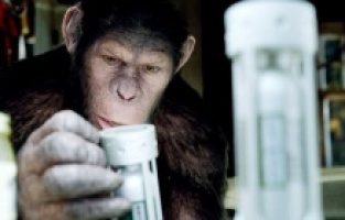 Maymunlar ve insanlar arasındaki büyük savaş