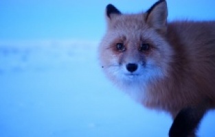 BBC Earth, insan ve yaşamın keşfedildiği iki belgesel serisiyle dönüyor