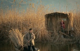 "Son Hasat" Altın Lale için yarışacak!